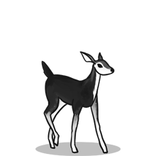 内部价格卡密的{固定网站名称23}